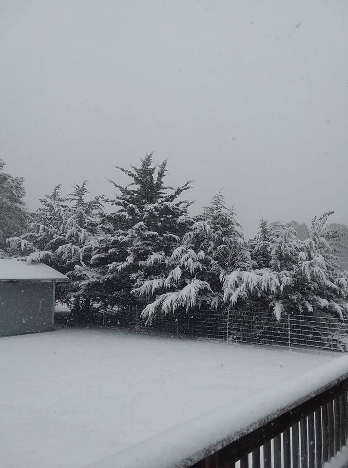 Snow, 10/14